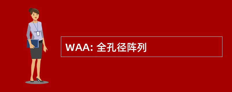 WAA: 全孔径阵列