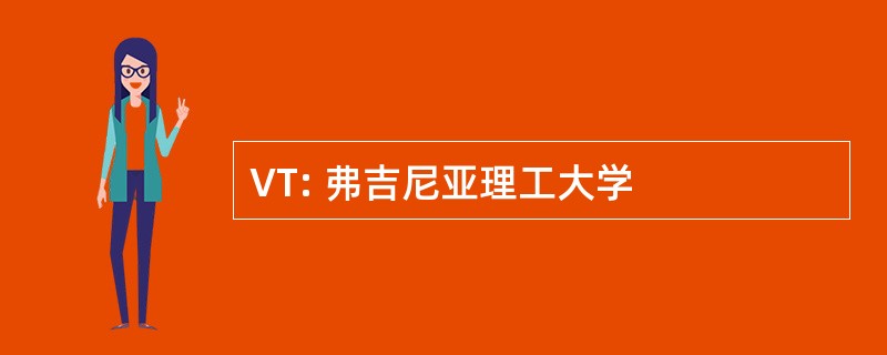 VT: 弗吉尼亚理工大学