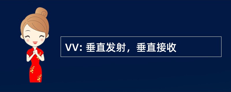 VV: 垂直发射，垂直接收