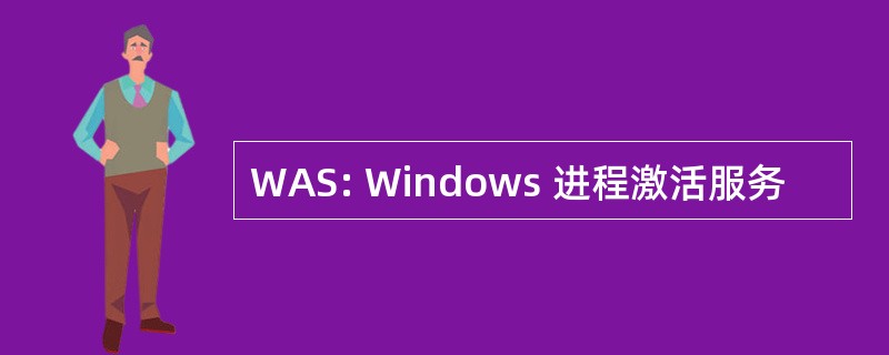 WAS: Windows 进程激活服务