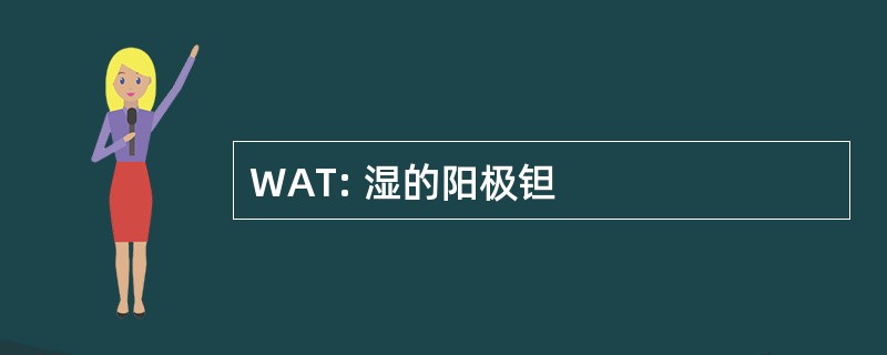 WAT: 湿的阳极钽