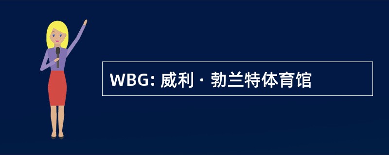 WBG: 威利 · 勃兰特体育馆