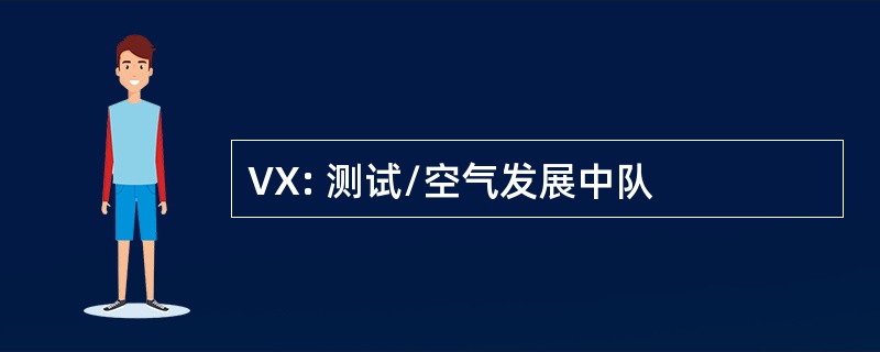 VX: 测试/空气发展中队