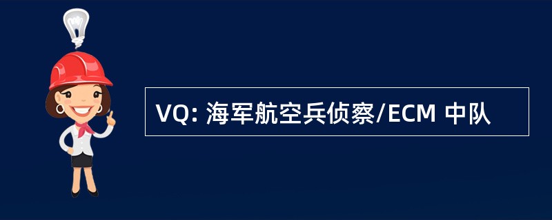 VQ: 海军航空兵侦察/ECM 中队