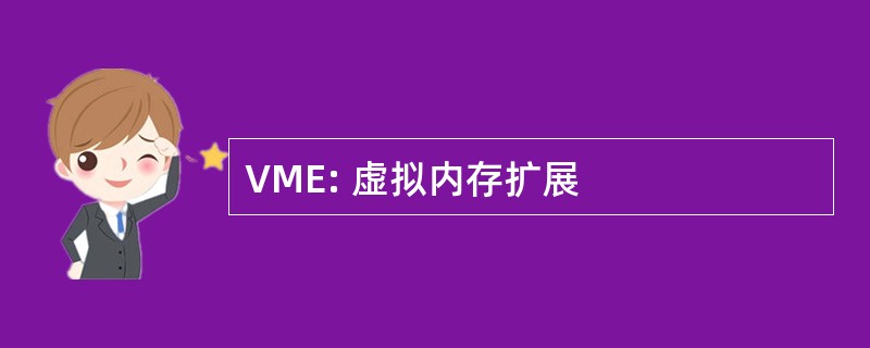 VME: 虚拟内存扩展