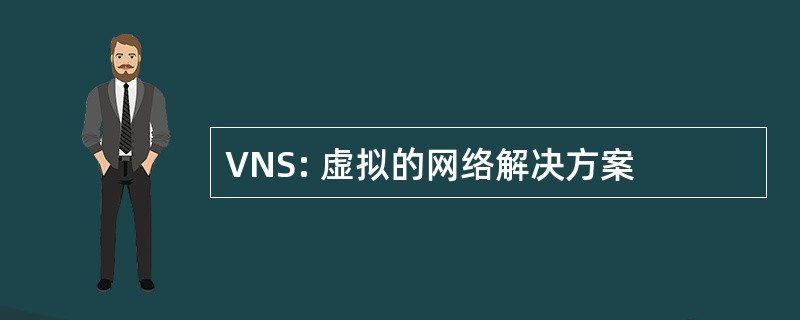 VNS: 虚拟的网络解决方案