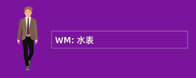 WM: 水表