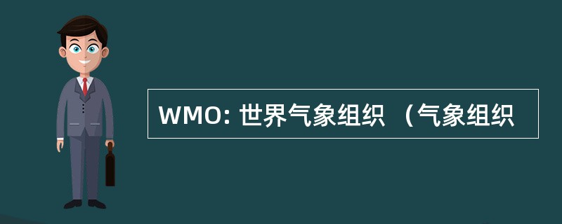 WMO: 世界气象组织 （气象组织