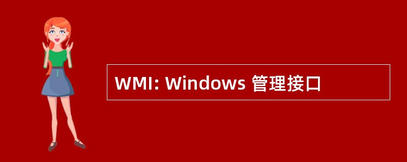 WMI: Windows 管理接口