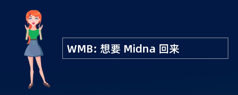 WMB: 想要 Midna 回来