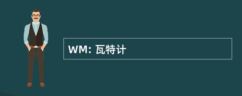 WM: 瓦特计