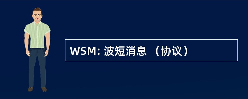 WSM: 波短消息 （协议）