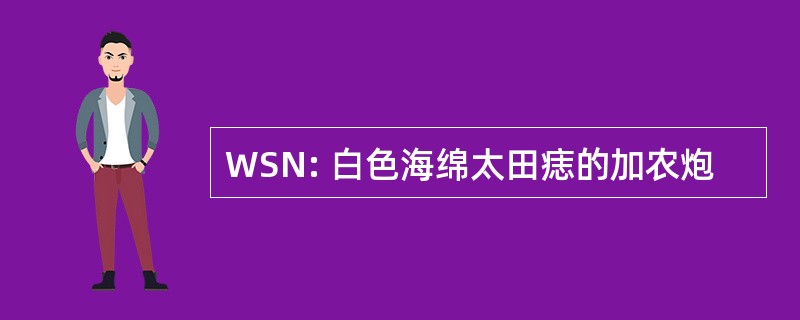 WSN: 白色海绵太田痣的加农炮