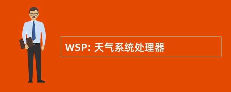 WSP: 天气系统处理器