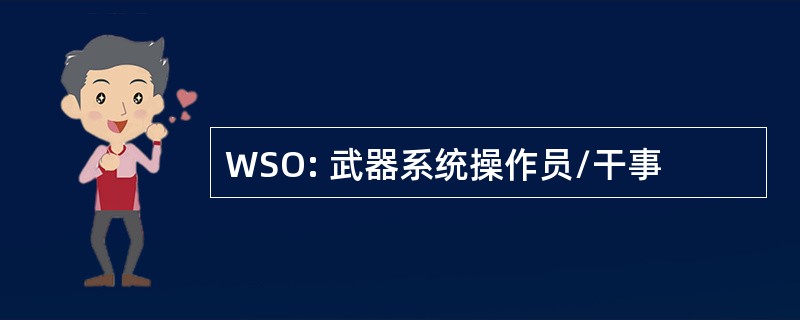 WSO: 武器系统操作员/干事