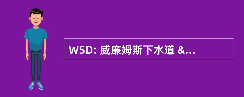 WSD: 威廉姆斯下水道 & 排水有限公司