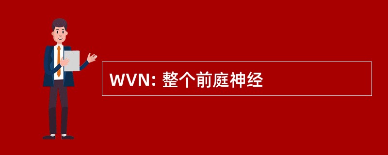 WVN: 整个前庭神经