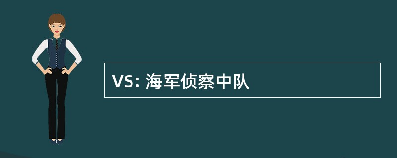 VS: 海军侦察中队