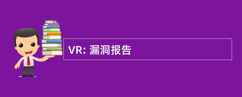 VR: 漏洞报告