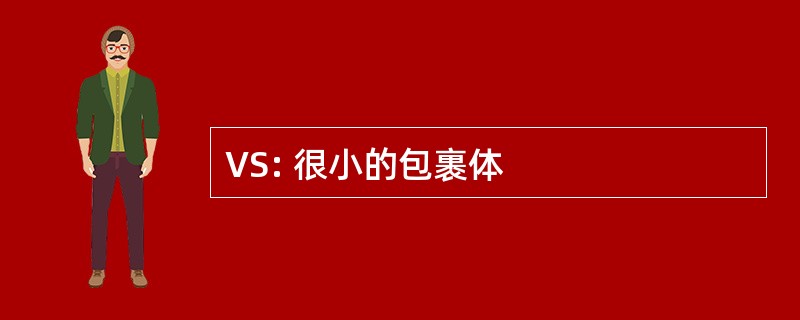 VS: 很小的包裹体