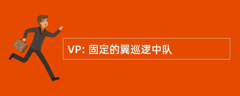 VP: 固定的翼巡逻中队