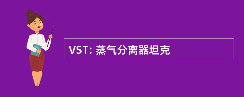 VST: 蒸气分离器坦克