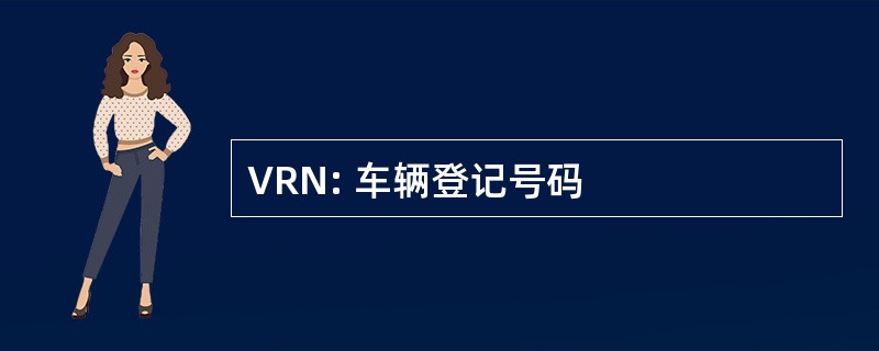 VRN: 车辆登记号码