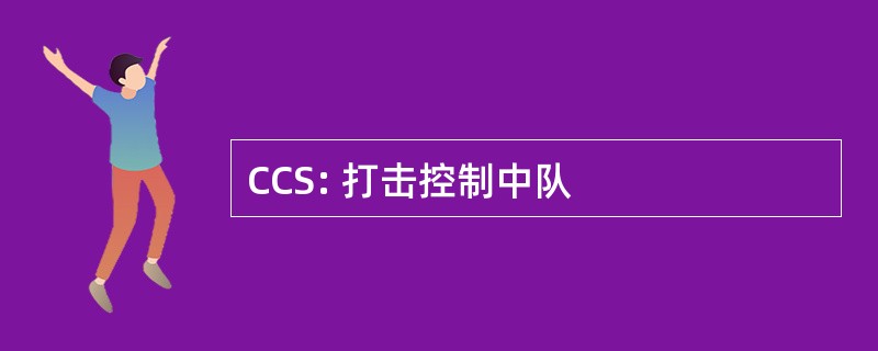 CCS: 打击控制中队