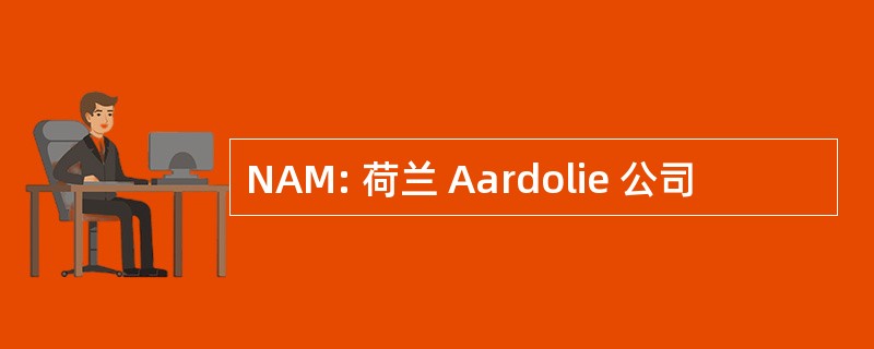 NAM: 荷兰 Aardolie 公司