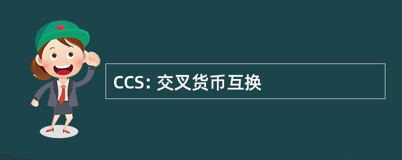 CCS: 交叉货币互换