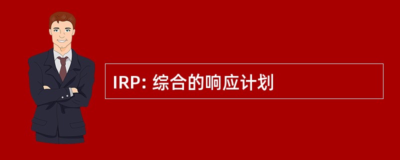 IRP: 综合的响应计划