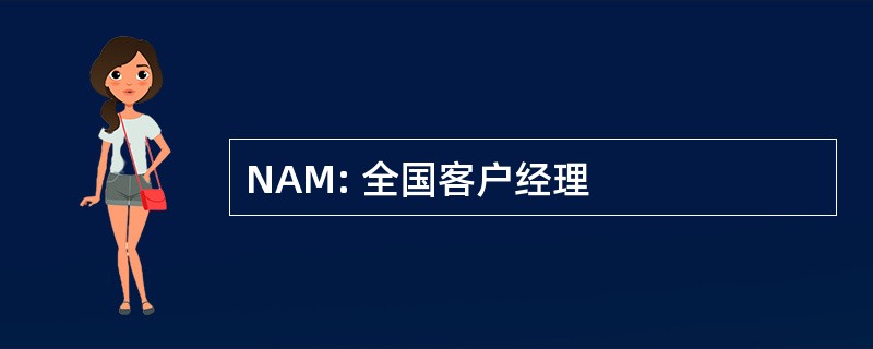 NAM: 全国客户经理