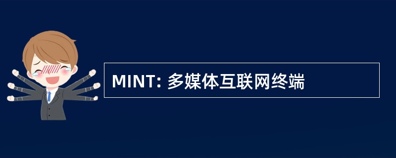 MINT: 多媒体互联网终端