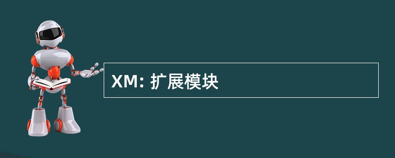 XM: 扩展模块