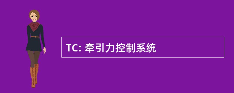 TC: 牵引力控制系统