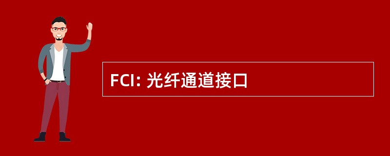 FCI: 光纤通道接口