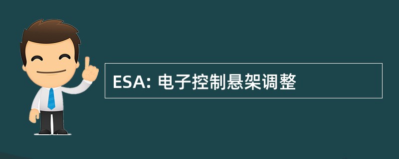 ESA: 电子控制悬架调整