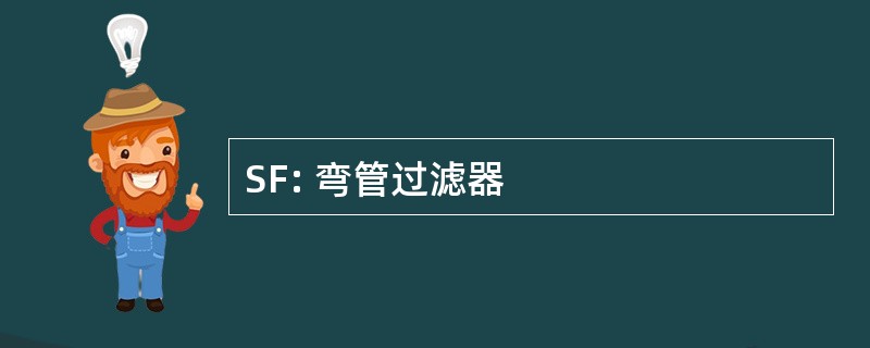 SF: 弯管过滤器