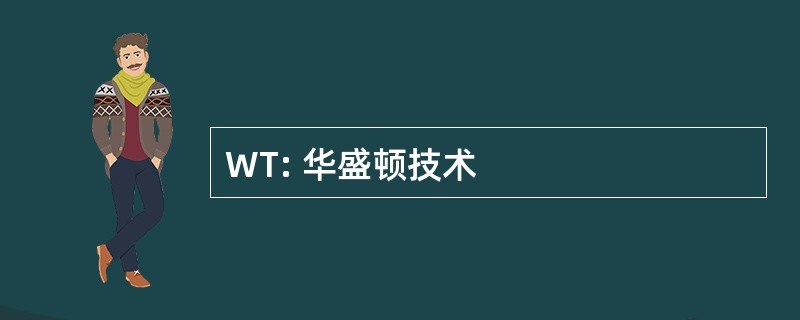 WT: 华盛顿技术