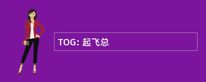 TOG: 起飞总