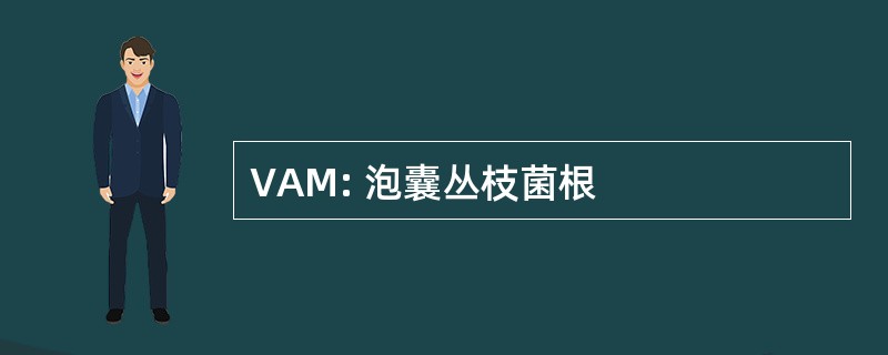 VAM: 泡囊丛枝菌根