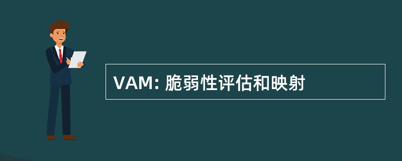 VAM: 脆弱性评估和映射