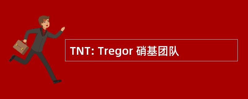 TNT: Tregor 硝基团队