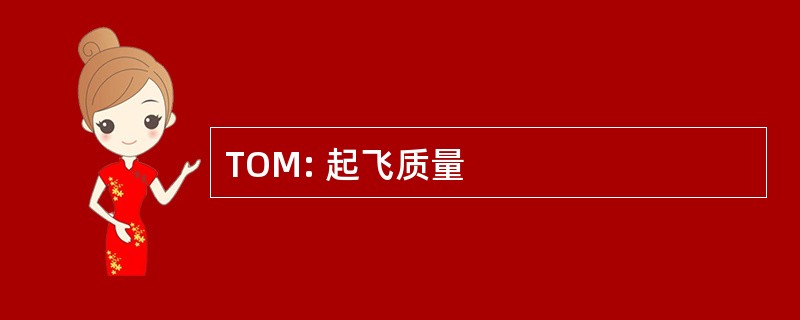 TOM: 起飞质量