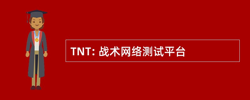 TNT: 战术网络测试平台