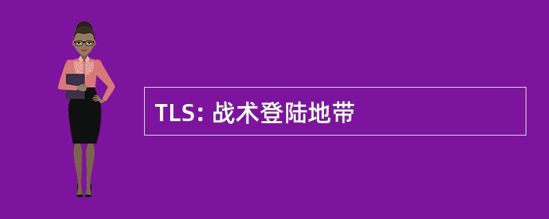 TLS: 战术登陆地带