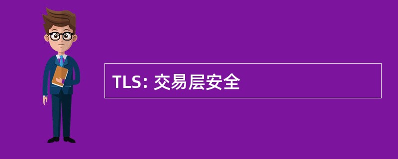 TLS: 交易层安全