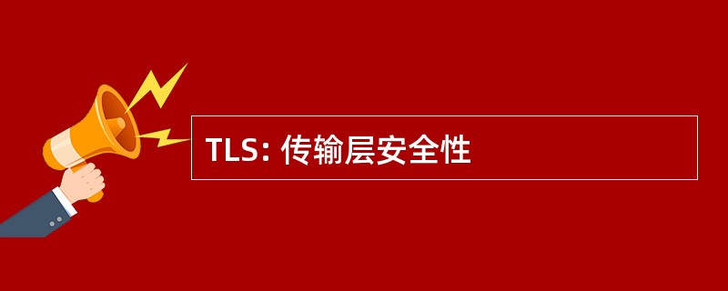 TLS: 传输层安全性