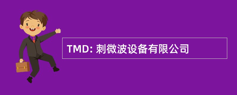 TMD: 刺微波设备有限公司