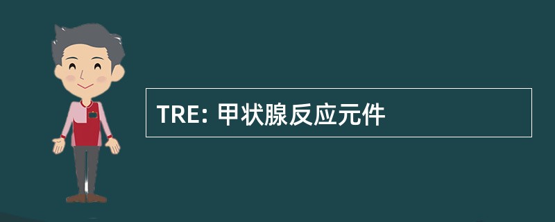 TRE: 甲状腺反应元件